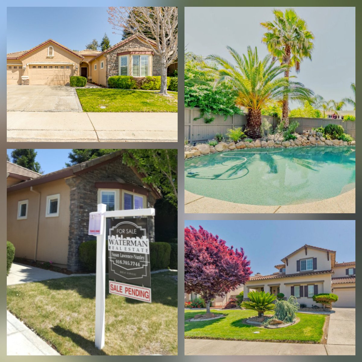 I don't just sell in Sacramento. I sold these beautiful homes in Elk Grove for some very happy sellers!
#susanknowssacramento #sacramentoandbeyond #susansellssacramento #SOLD #results #susansacramento #movetocalifornia #movetosacramento #movetoelkgrove #susansellsElkGrove