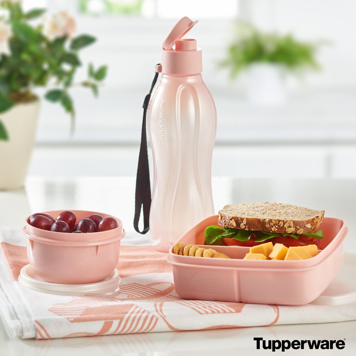 Tupperware on X: A healthy lunch means a happy you. The Blushing Pink Lunch  Set includes everything you need to #LoveYourLunch. 🍇 Shop US -   Shop CA -    /