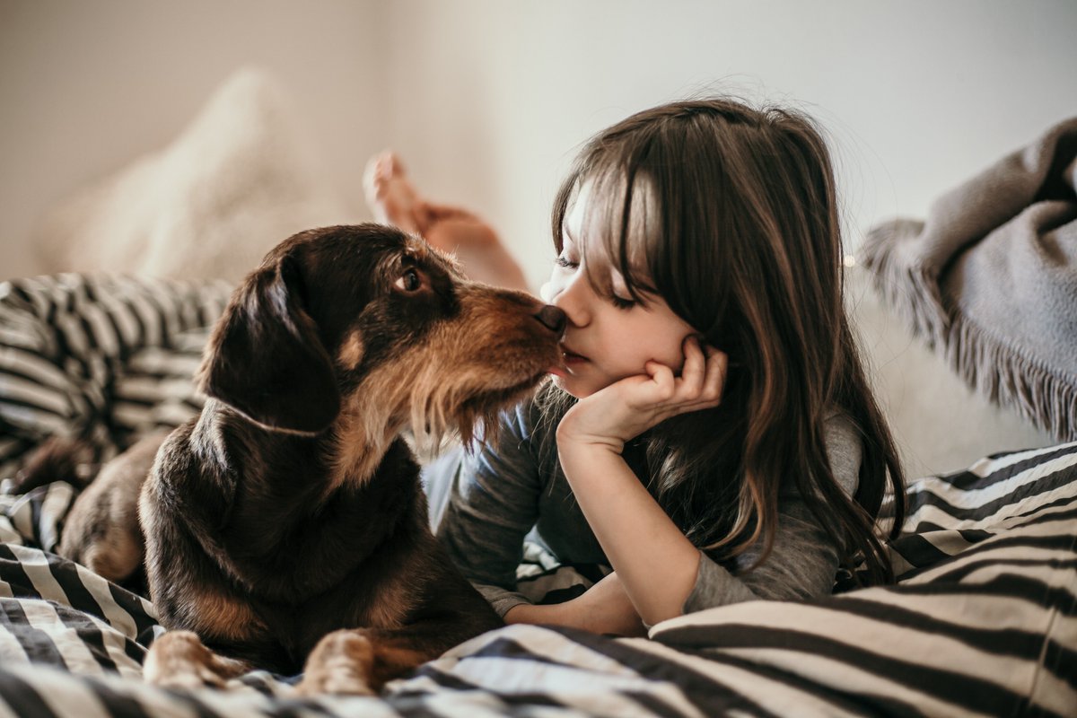 ZLivingUS's tweet photo. Dogs can be great companions for children with a disability. Learn how to find the right kind of canine companion tonight on Finding Fido at 8PM. https://t.co/FngCdeckHK #findingfido #therapydogs #autismdogs #dogadoption #adoptdontshop https://t.co/VVhis4rKPU