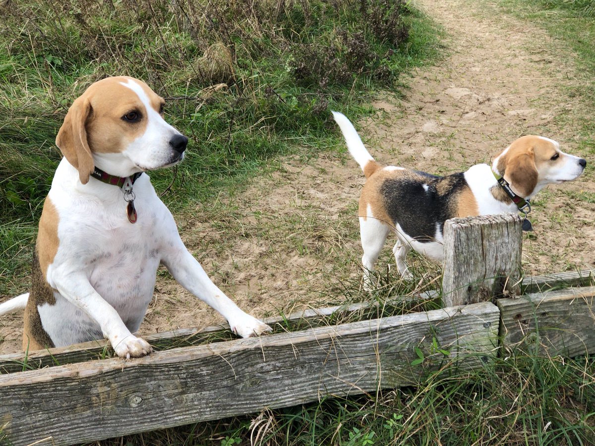 Hey Sis 👀 👀 👀 at that 👀 👀