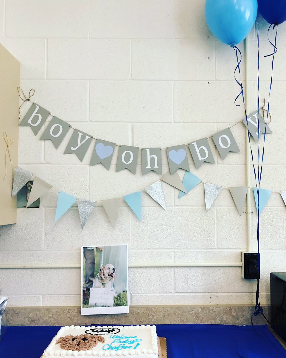 MrsChaffee's tweet photo. THANK YOU to my amazing kindergarten teammates for throwing me and Baby C such a thoughtful, sweet baby shower at school today! You guys are the BEST and feeling so lucky to have you 5 as teammates and friends! Also, you all clearly know me well 🐶. #allthedogs #rox #andbabyc https://t.co/PlEuT7gPG5