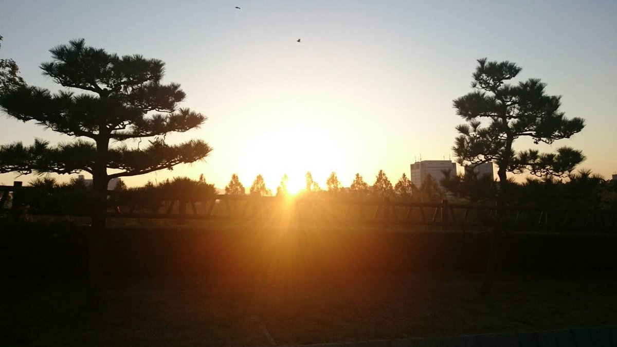 moriQ11's tweet photo. おはようございます☀
大阪城公園から
朝のラジオ体操です https://t.co/EY96sooJ0Z