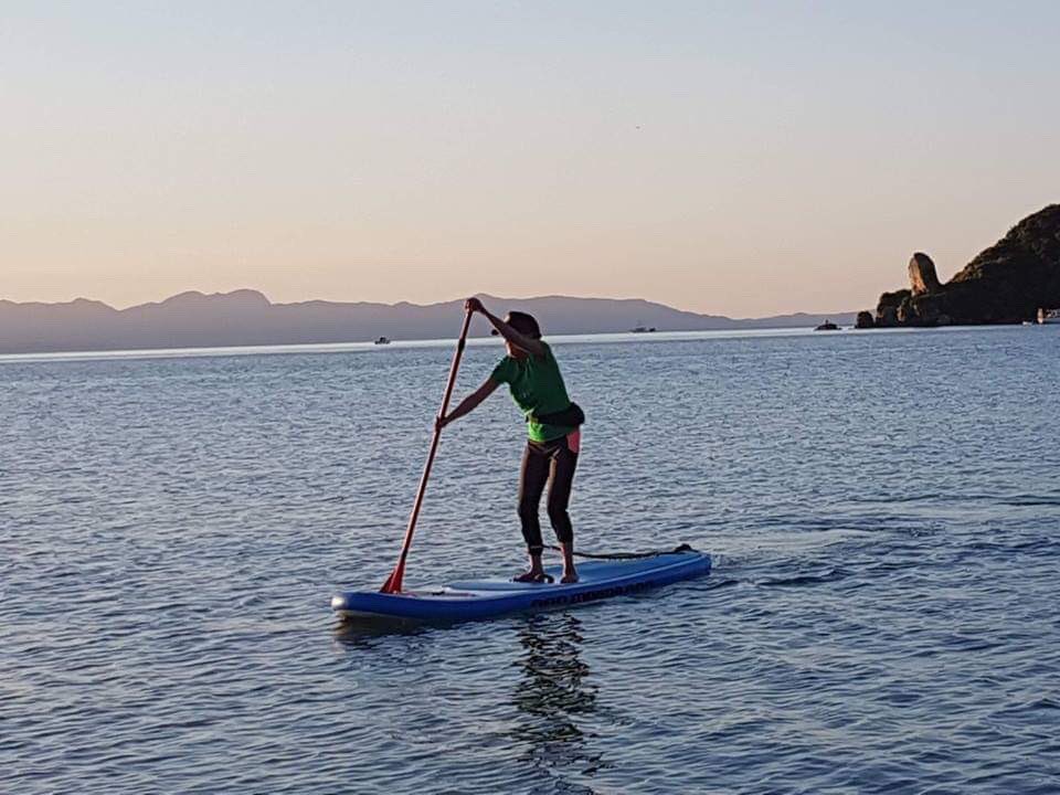 mangofrognz's tweet photo. Just paddling away from my troubles #livelovepaddle #suplife #beach #goldenbay https://t.co/9Ki8XhUx3x