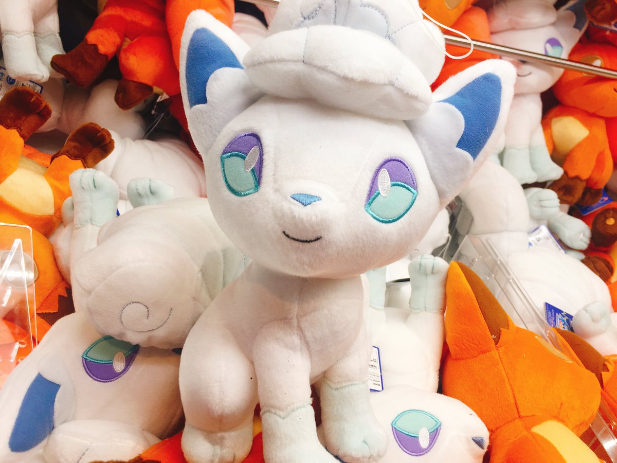 Namcoイオンモール大高店 En Twitter 10月25日 木 より入荷しました ポケモンフォーカス でっかいぬいぐるみ ロコン ロコン アローラ どちらも可愛すぎます ロコン ポケモンフォーカス ポケモン ぬいぐるみ