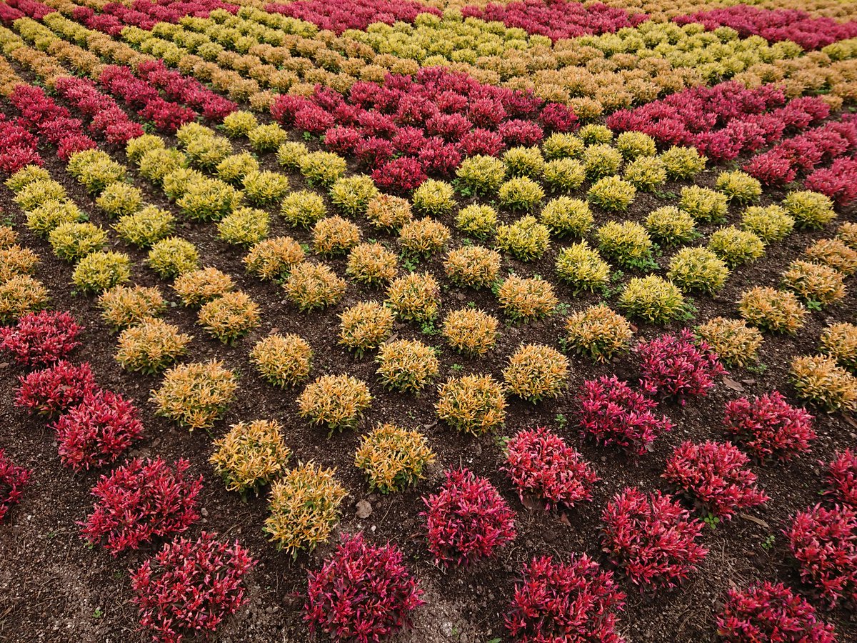 広島市植物公園