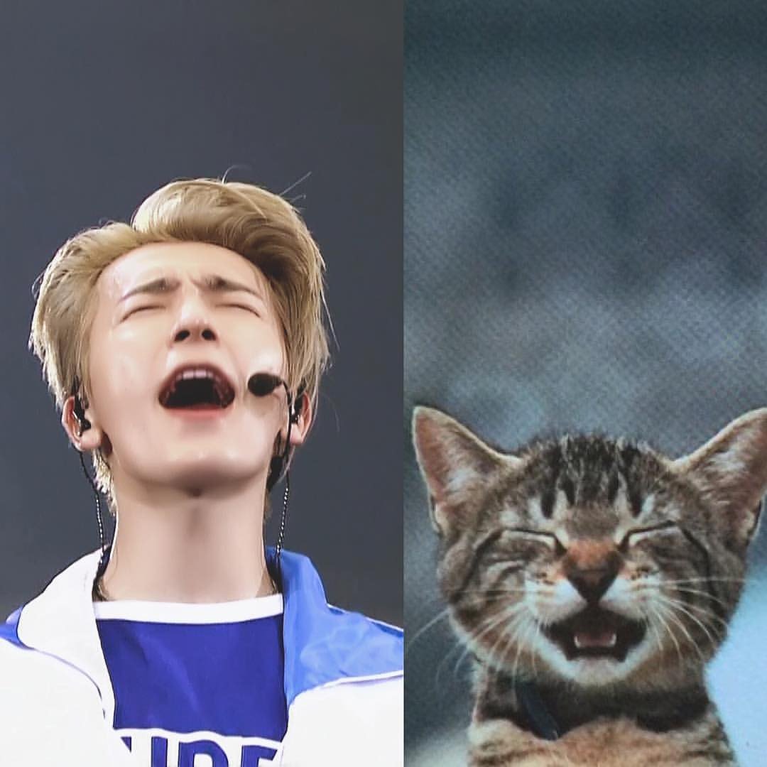 Handsome_Hae86's tweet photo. Meow...BabyHae😍
Cr. Haetnim Via IG crybabydong1015
#Donghae
#SuperJunior
#SuperJuniorDnE
#BabyHae
#aidenlee
#OneMoreTimeSJ
#OtraVez
#이동해 https://t.co/izgmk4LUuU