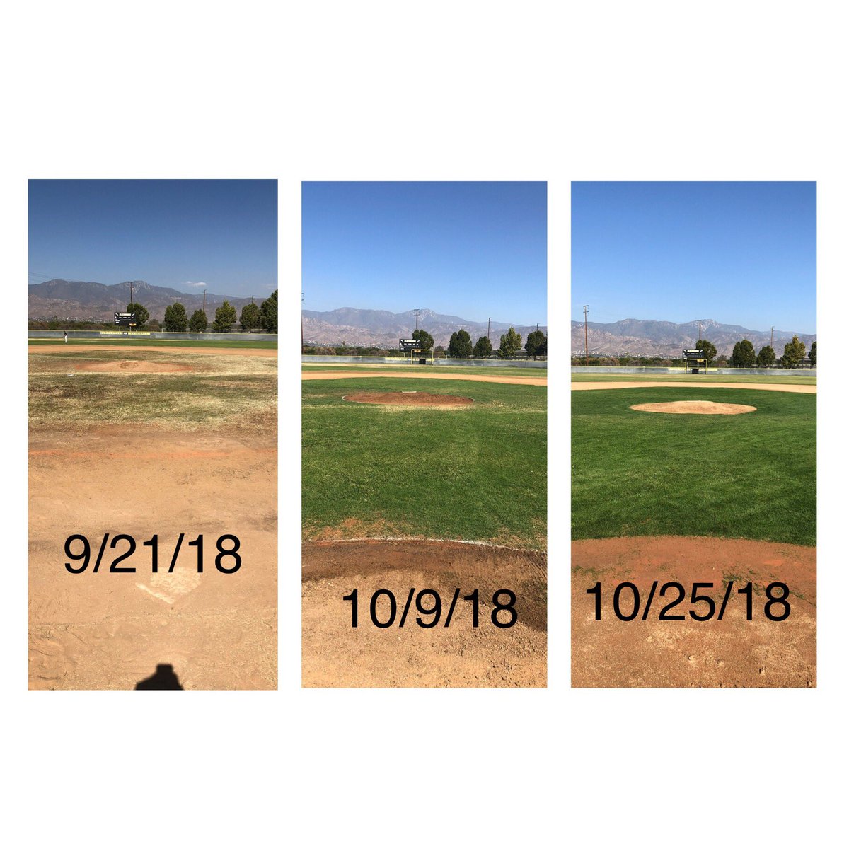 CVBHawkBaseball's tweet photo. Amazing what a little TLC will do to a field. @BarkshireLaser @cooperturfsolutions @CVHSBlackhawks_ admin and maintenance staff @5forJmar #infieldcare #fieldmaintenance #earlyChristmas #TruCut #littlewater #youkidsgetoffmylawn https://t.co/0aG2iSwQtp