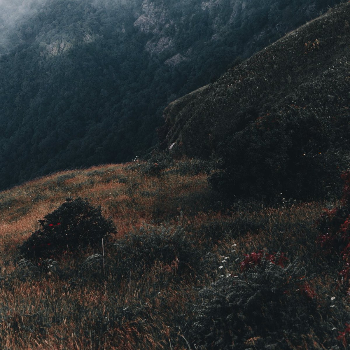 oadenn's tweet image. บันทึกเรื่องราวผ่านภาพถ่าย
กิ่วแม่ปาน , เชียงใหม่