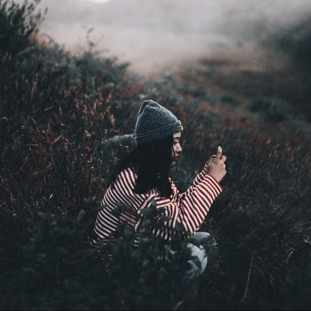 oadenn's tweet image. บันทึกเรื่องราวผ่านภาพถ่าย
กิ่วแม่ปาน , เชียงใหม่