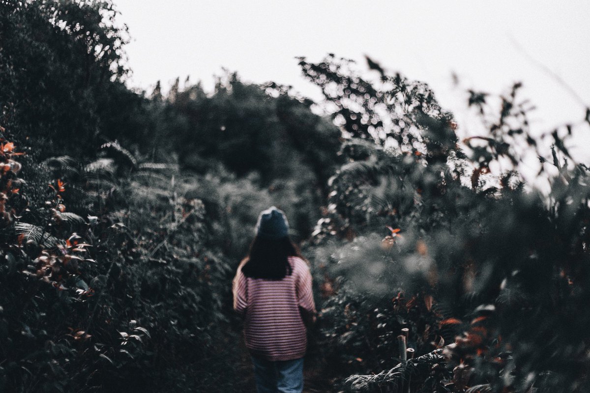 oadenn's tweet image. บันทึกเรื่องราวผ่านภาพถ่าย
กิ่วแม่ปาน , เชียงใหม่