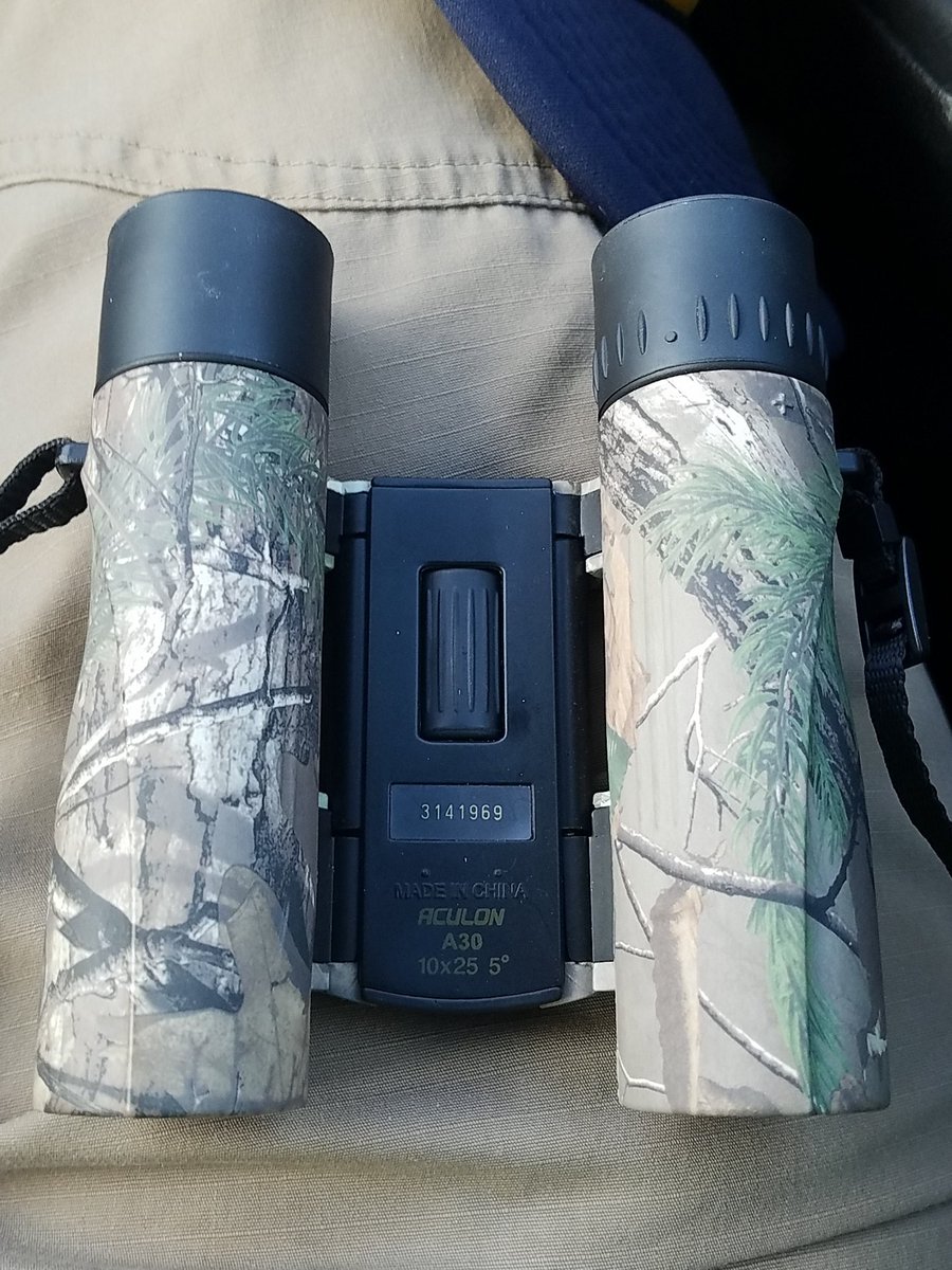 SurvivalEDC's tweet photo. These #nikonAculon #10x25 #binoculars in #realtree #camoflauge are my most useful piece of kit in my #edc today. #ogdenutah to #boiseidaho #roadtrip
#pronghorn #goldeneagle #wildlife https://t.co/yPLuvabD43
