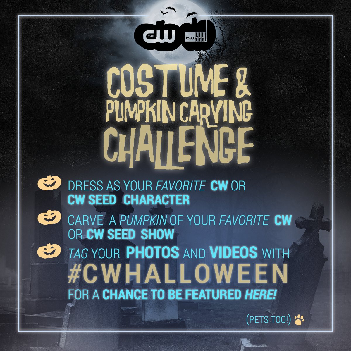 TheCW's tweet photo. Share your favorite CW or @CWSeed character costumes and pumpkins using #CWHalloween for a chance to be featured! https://t.co/Yq8bb54pId