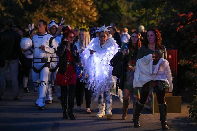 IndianapolisZoo's tweet photo. What an incredible night! HUGE thanks to everyone who attended our newly reimagined Zoolala &amp; helped to support our mission. Find your photos in this great @indystar gallery » https://t.co/ZaqGR95vfJ #IndyZoolala https://t.co/opqHrZUPYv