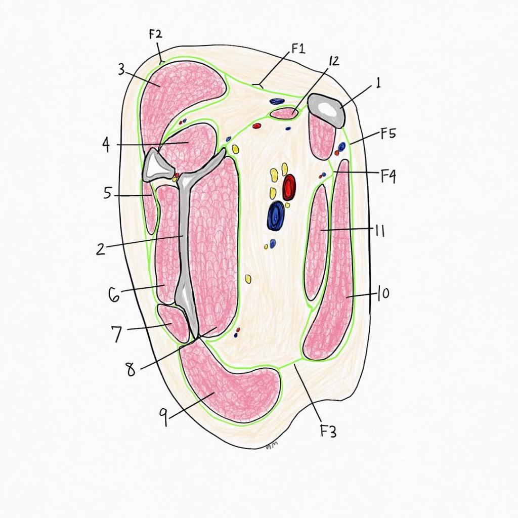 read transient aerohydroelasticity