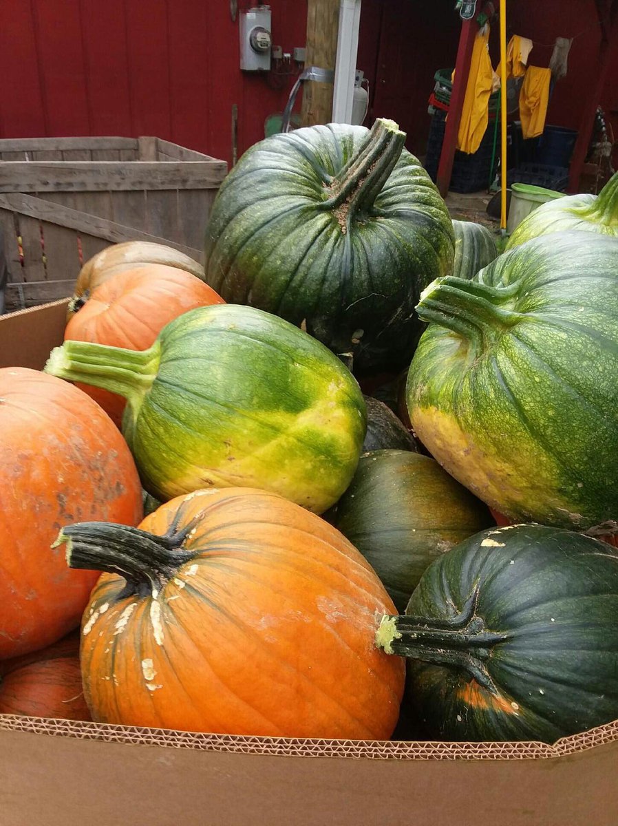 Red Apple Barn On Twitter This Weekend At The Red Apple Barn We