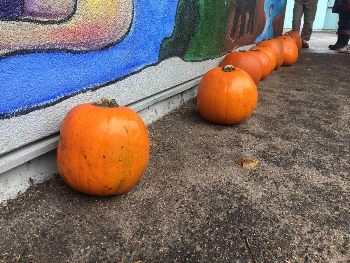 sd48GHE's tweet photo. Some primary classes at GHE visited a haunted pumpkin patch in the forest this afternoon!  It was very spoooookey!  ...more classes to visit tomorrow! https://t.co/DdGq9JWBah