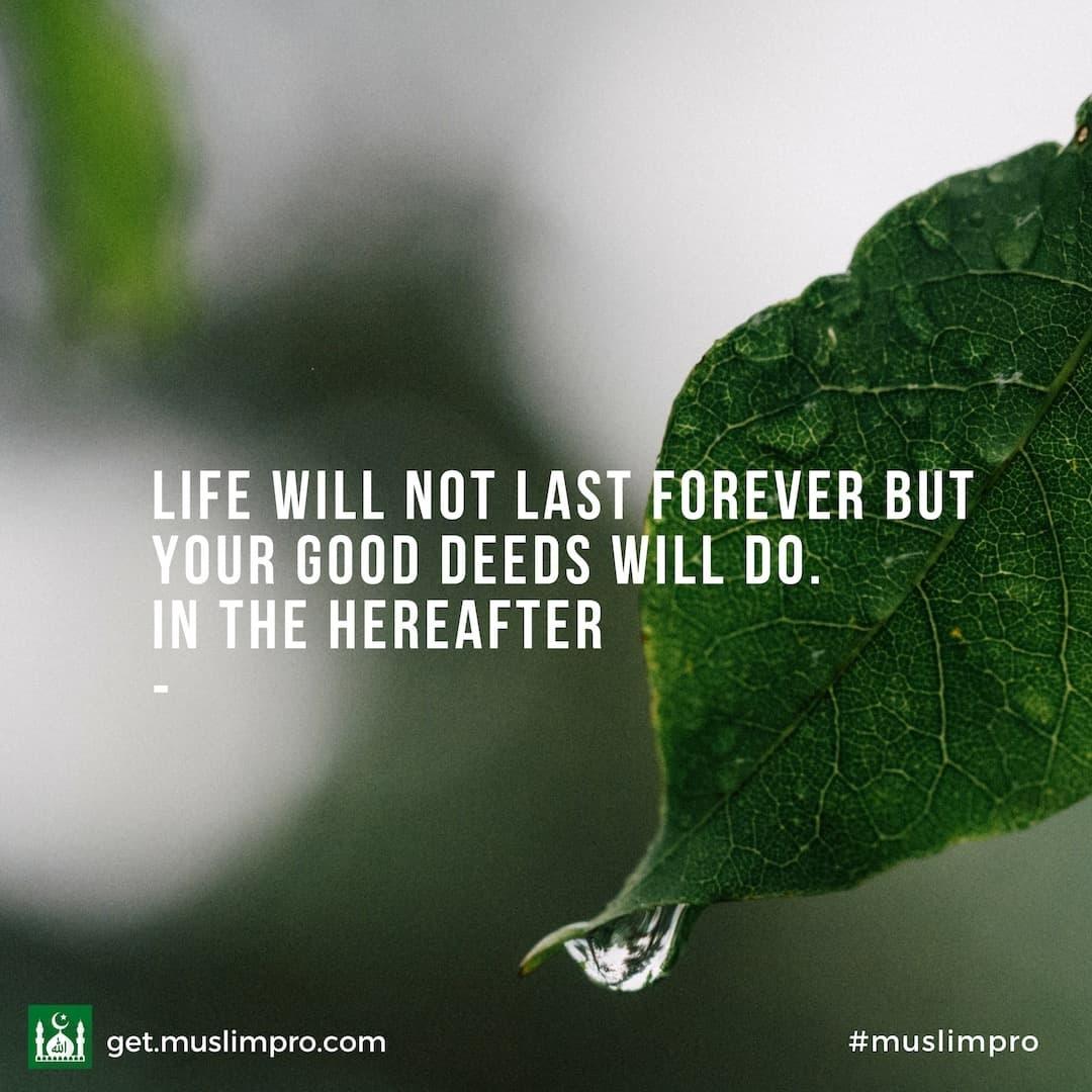 <a href="/MajimajiKenya/">MAJIMAJI</a> <a href="/LindaOmolo/">LindaDehLupirahWololo</a> <a href="/MbuchiKen/">Ken Mbuchi Mfalme</a> <a href="/NjengaRacheal/">Racheal Njenga</a> <a href="/MutukuMulwa2/">Steve Mulwa wa kite</a> <a href="/KiksNdutokioko/">KIKS_NDUTO</a> <a href="/SuewaKuria/">SUE WA KURIA KOMÛ.🇰🇪</a> <a href="/ManguroMaggy/">MAGGY MANG'URO</a> @Stivoh_Divoh <a href="/moseswangila1/">moses Musamude</a> <a href="/sarahsomba/">Sarah Koi</a> <a href="/PalmahKubukah/">Palmer Kubukah</a> <a href="/DiddosMchizi/">Didoh Didoh</a> @KigwaJoan <a href="/EkrahNdungu/">Ekrah Ndungu</a> @KarehuDaniel <a href="/MosotiLofty/">Lofty Mosoti</a> <a href="/MleziM/">Mlezi Mbwami</a> <a href="/MPDMMK1/">KENYATTA HILLS</a> @PhilipoMmojah ....Jumaa Kareem to all