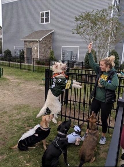 andilingle's tweet image. Happy Halloween!! @packers @AaronRodgers12