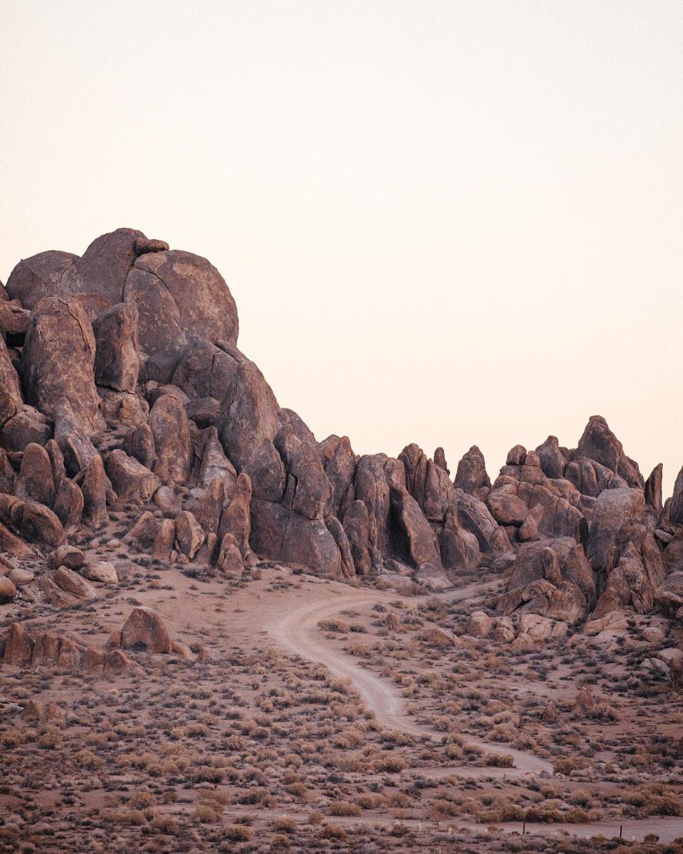 the Radavist tweet media