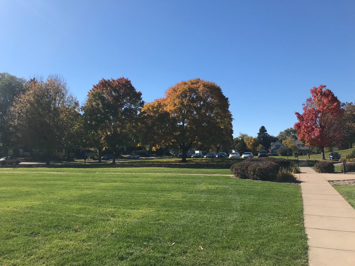 prekachievers's tweet image. #MNtrees