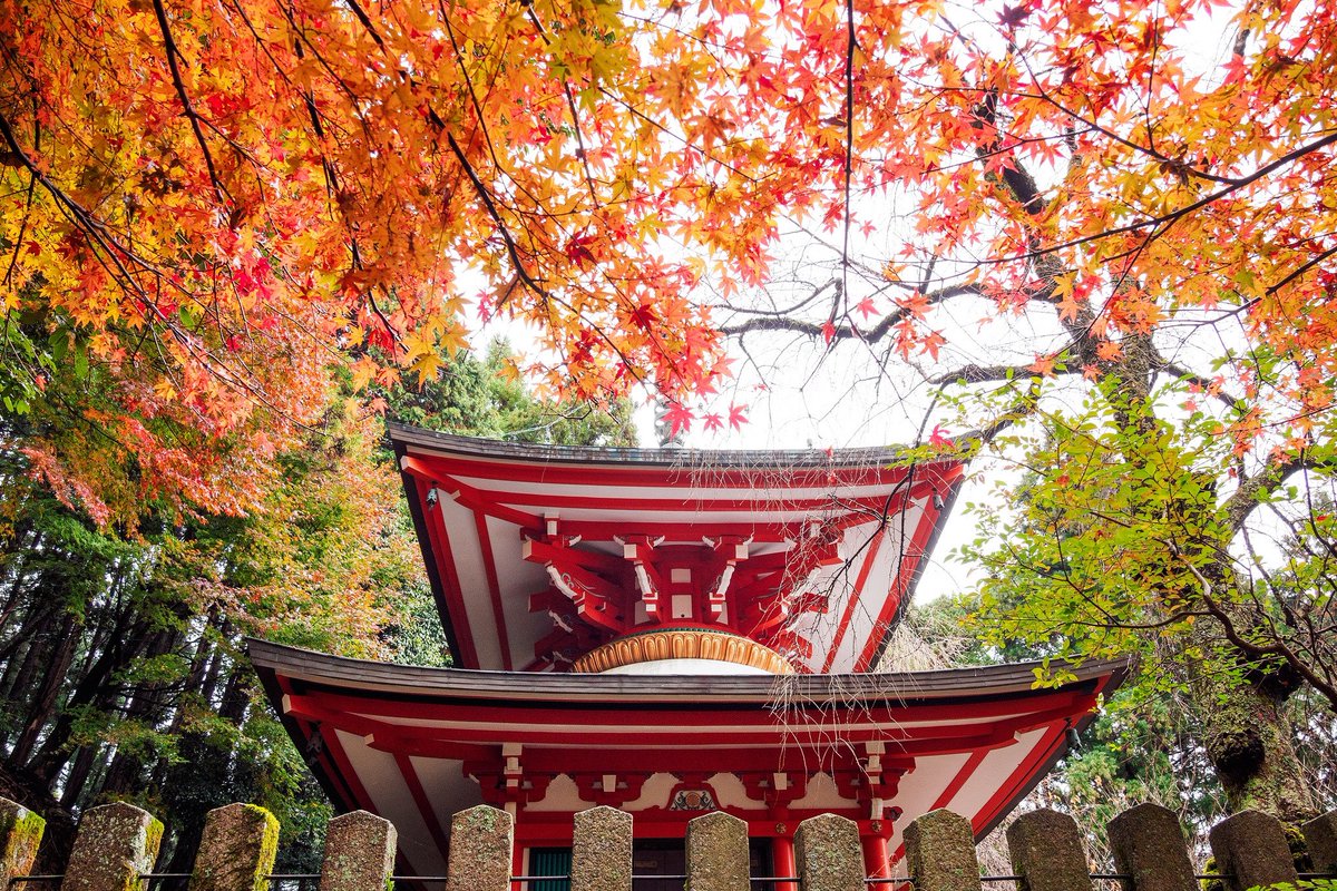 ট ইট র 鴨片攝影akira Hsu 鞍馬寺奥の院 Olympus Pen F Olympus 12 100mm F4 0 Is Pro 17京都紅葉紀行 旅行攝影 日本 關西 京都 Olympus Penf pro Penflens Olympustwshare Japan Kyoto Maple