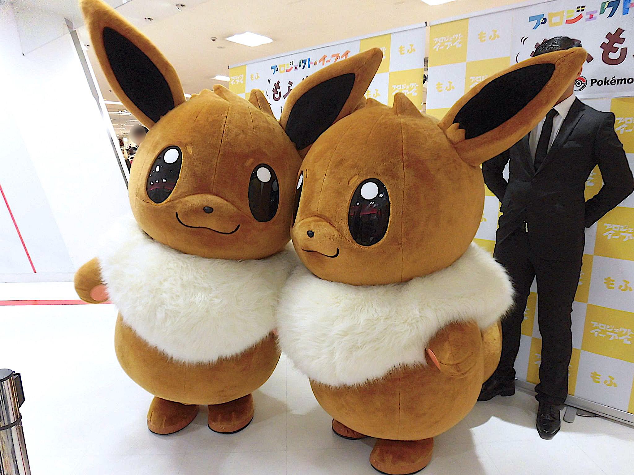 公式 プロジェクトイーブイ 続 今週末は ポケモンセンタートウキョーベイ キョウトで もふもふ会 実施 もふもふと幸せがたっぷり詰まった至高のイベント イーブイ２匹に押しつぶされたい方 ご来店お待ちしております 開催日朝の抽選制