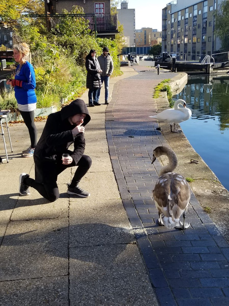 Jacksepticeye's tweet image. The swan whisperer!