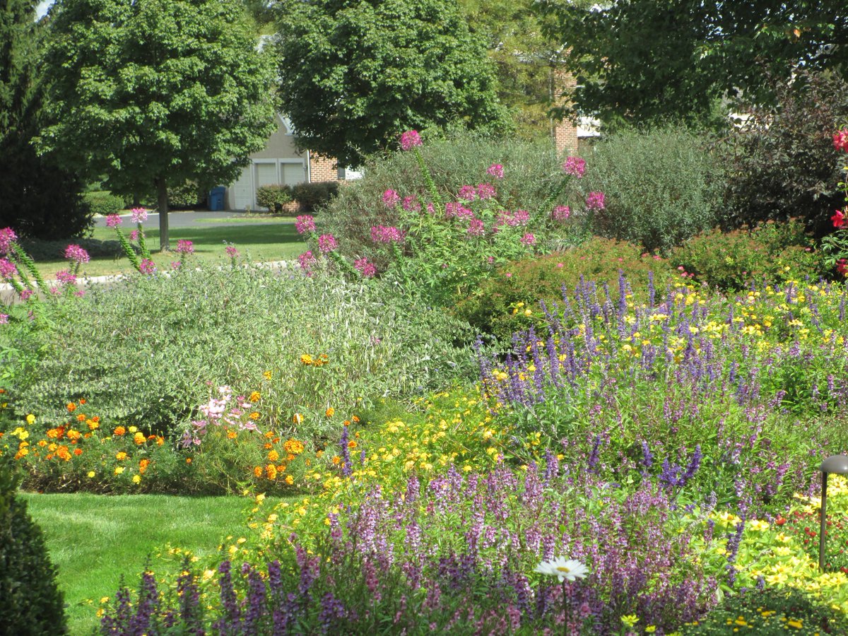 OutsideTheBoxLS's tweet photo. #Annuals bring joy #outsidetheboxgardens.com https://t.co/94CzuMs6EO