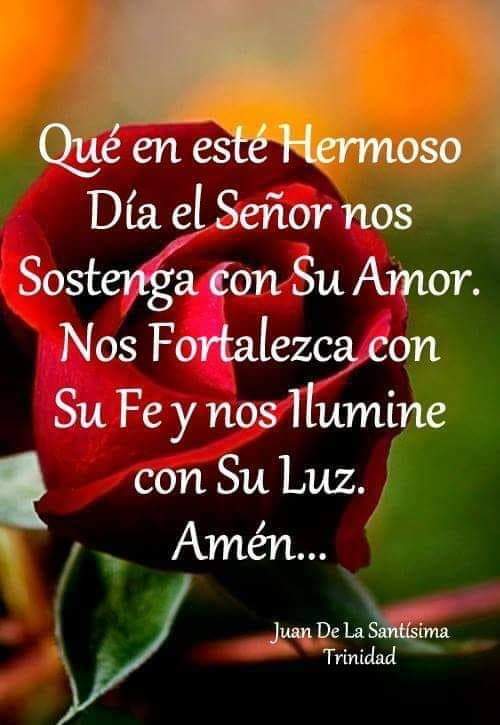 AserviMartin's tweet photo. @JibajaAngie @arica_elsa @yamiiEspinozaa @luciana240708 @LozaSsa @ArianitaLfc @JuditCruz1 @jean26_carlos @MaryoriJakeline @bibexlabibe https://t.co/hjFLkfkl5R