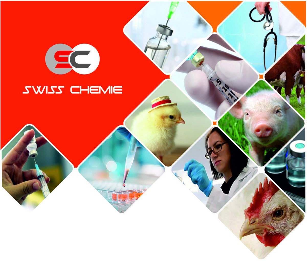 _swisschemie's tweet photo. #CholineChloride #FeedSupplement for #Nutrition & Growth for #Animals Health #Poultry, Chlorine Chloride is A Supplement for Nutrition and Growth for Animals. Call us: +65 8743 7932, read more... https://t.co/ktD5YXdgIf...
#SwissChemie #CholineChloride https://t.co/ErNh1AUHHr