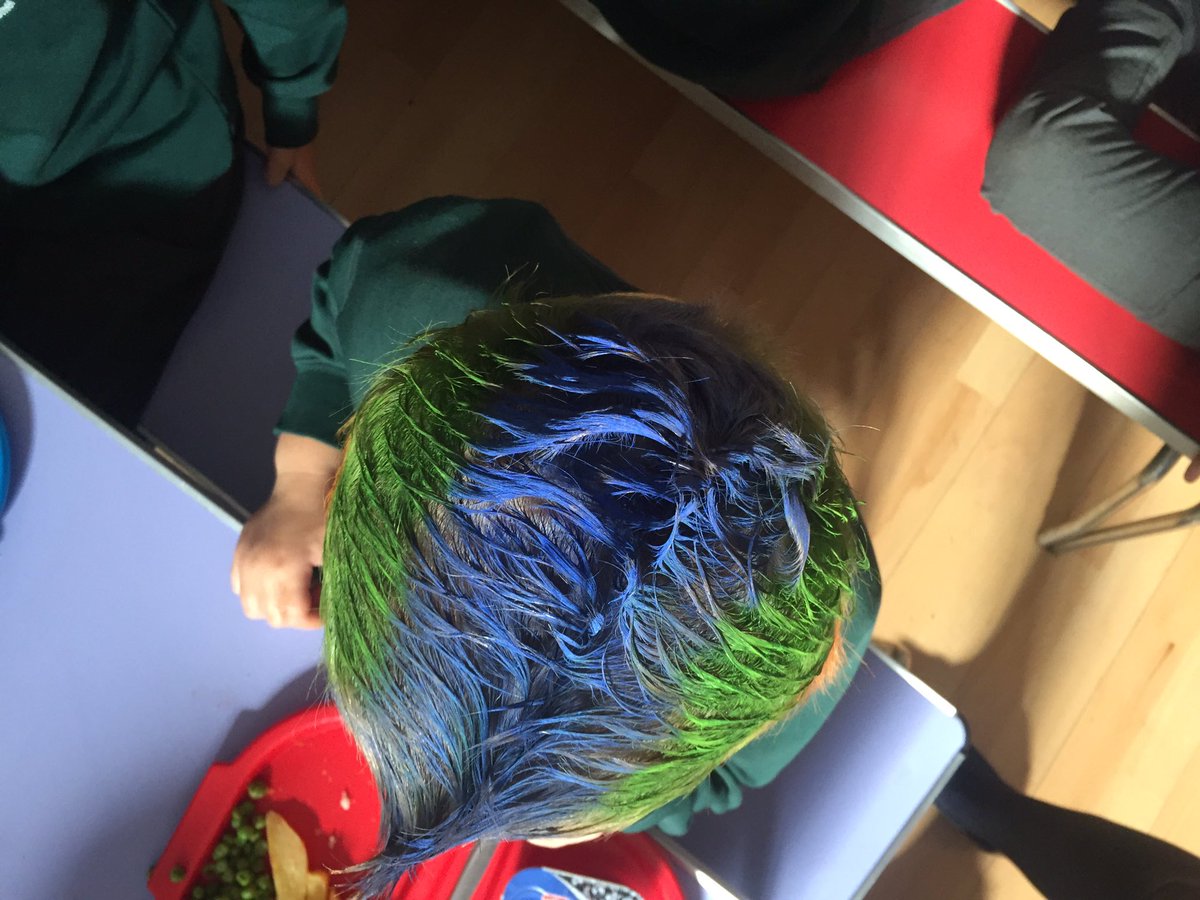 InfNetley's tweet photo. Crazy hair.....what an amazing day at Netley Marsh. Thank you to everyone who brought in a bottle with their crazy hair for our Christmas Fair @FNMSA_NewForest https://t.co/QjANd4qhG1