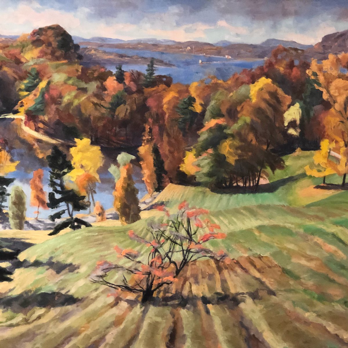 masha_tee's tweet photo. The next time youβve got a meeting with @westchestergov, enjoy the paintings that line the government offices, on loan from @HudsonRivMuseum. A lovely #peakleaf example: Lake at Olana and the Hudson, 2000 by #JoellynDuesberry πππ#HudsonRiver #hrmcollections https://t.co/ojynqV8nnC