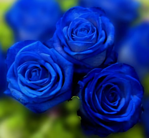 Johanna Farias Johnlemon474 Twitter Johanna Farias Johnlemon474 Twitter