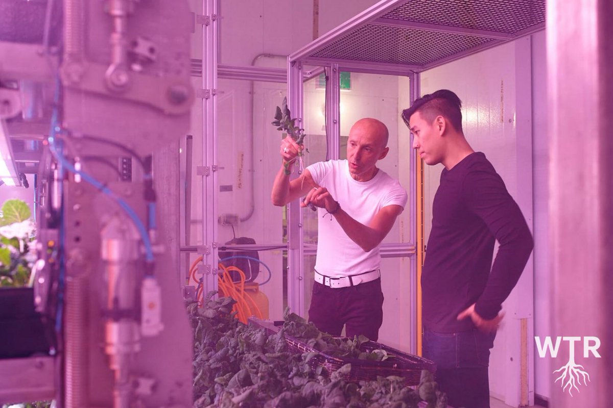 We The Roots tweet media