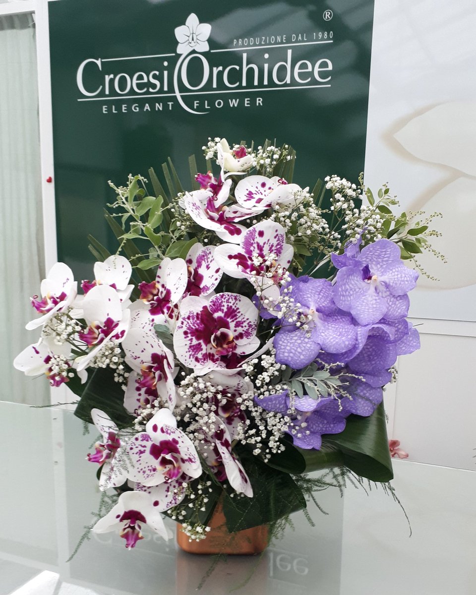 CroesiO's tweet photo. Tutti abbiamo qualcuno a cui va il nostro pensiero, oggi, particolarmente...💖

#croesiorchidee #piante #fiori #composizionifloreali #flower #negoziodifioriepiante #flowerandplantshop #venditaaldettaglio #orchidee #orchids #phalaenopsis #2novembre #commemorazionedeidefunti https://t.co/Duy5Vc2x9W