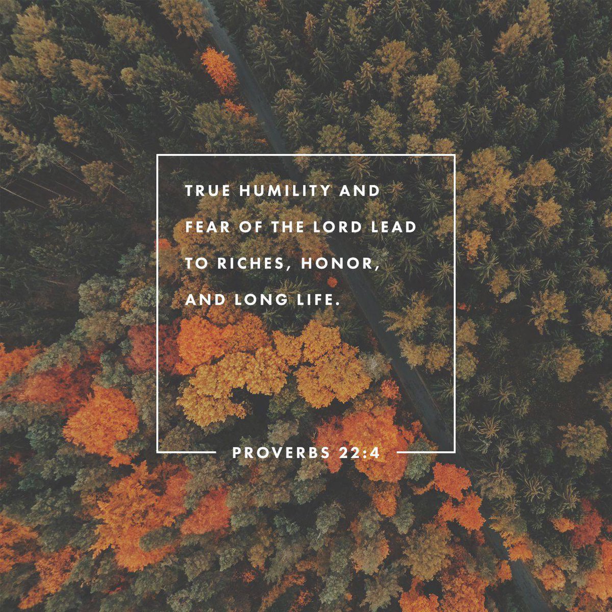 AFAMansfield's tweet image. By humility and the fear of the Lord are riches, and honour, and life.

#Proverbs22_4 #KJV
#VerseoftheDay #afaLive1
AFAlive.com