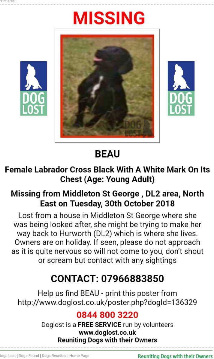 🐕 Beau was #Lost from a house in Middleton St George Co. Durham where she was being looked after, she may be trying to make her way back to #Hurworth #DL2 where she lives. Owners are on holiday. Do not approach as nervous &amp; will not come to you, ☎️ with any sightings
#ScanMe