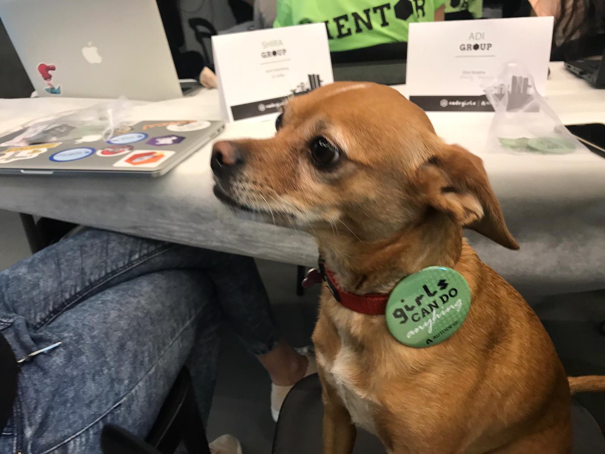 nodegirlstlv's tweet photo. https://t.co/1enzQedo9A