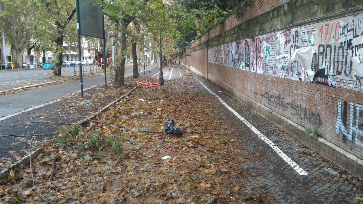 Queste sono le condizioni della #ciclabilenomentana questa mattina, fronte Villa Torlonia e Regina Margherita-Vesalio. @EnricoStefano e @LindaMeleo, che tanto avete fatto per questa ciclabile, perchè non mandare #ama a pulire un po', per la sicurezza di ciclisti e pedoni?