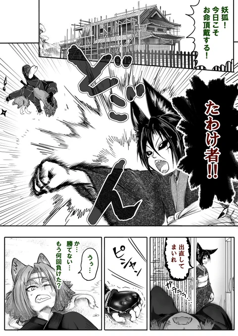 狐に勝てない狸さん♪ 