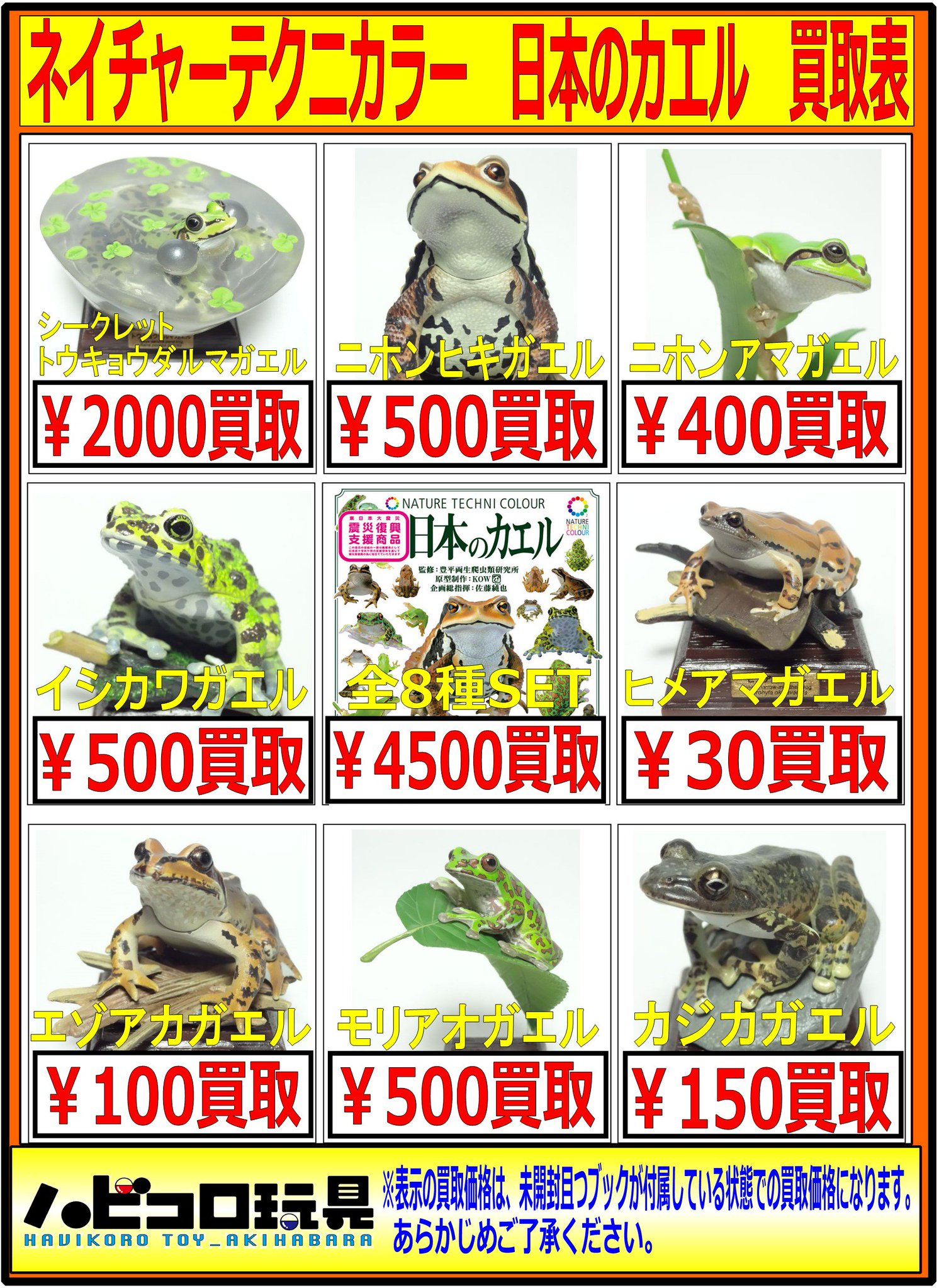 ネイチャーテクニカラー 日本のカエル 8種-