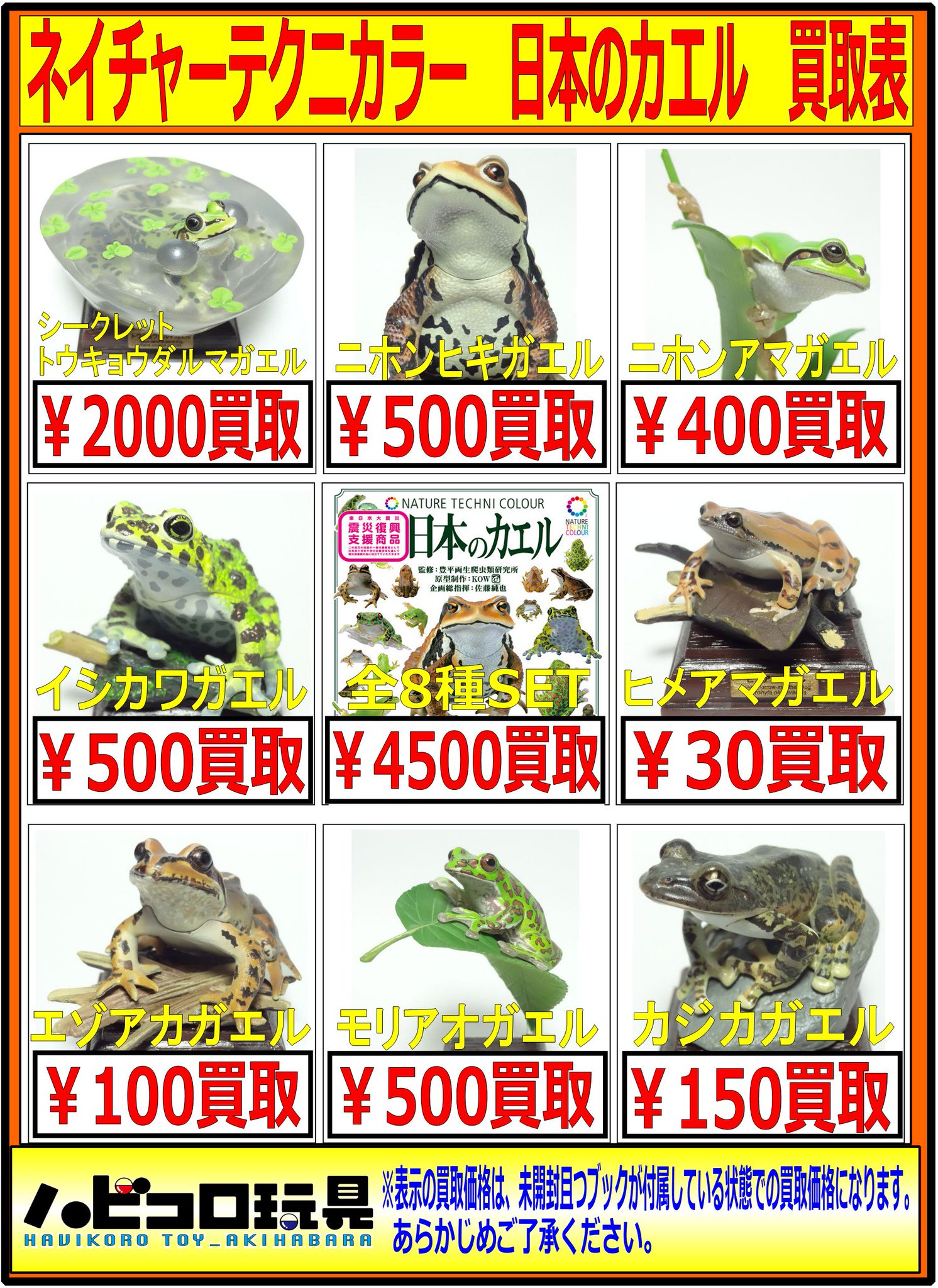 ネイチャーテクニカラー日本のいきものモリアオガエル 四角い ネイチャーテクニカラー日本のいきものモリアオガエル 四角い
