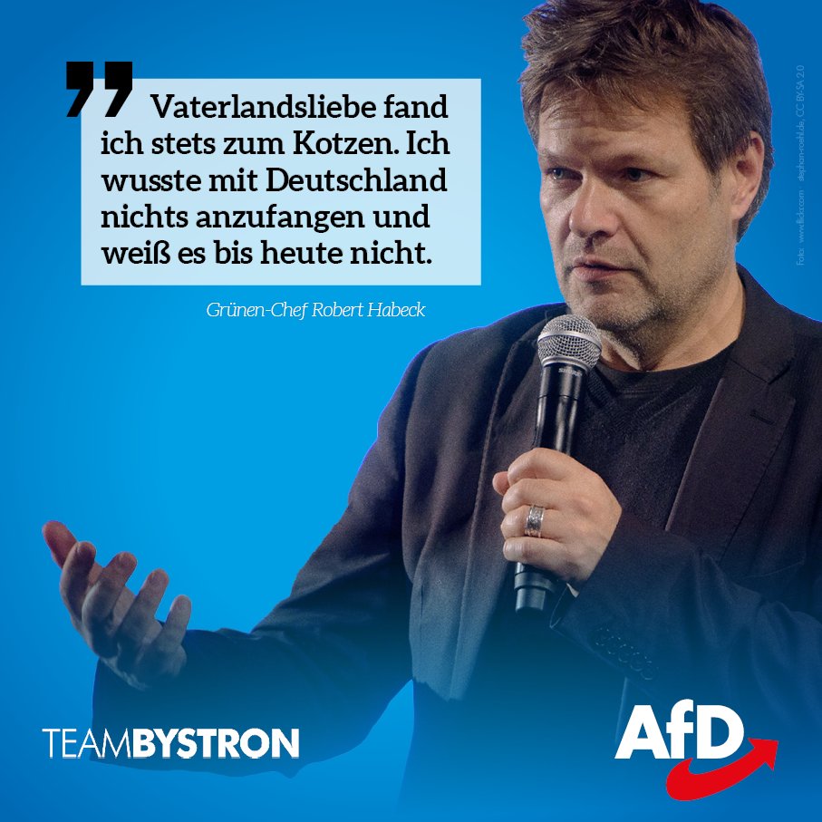 Petr Bystron tweet media