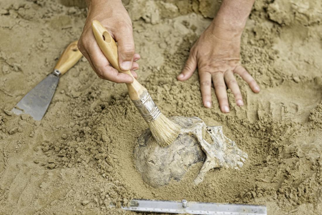 MNT_Yvette's tweet photo. What was medicine like in prehistoric times? https://t.co/Ftls0f2vSe @mnt_yvette https://t.co/YMr9TWehDa