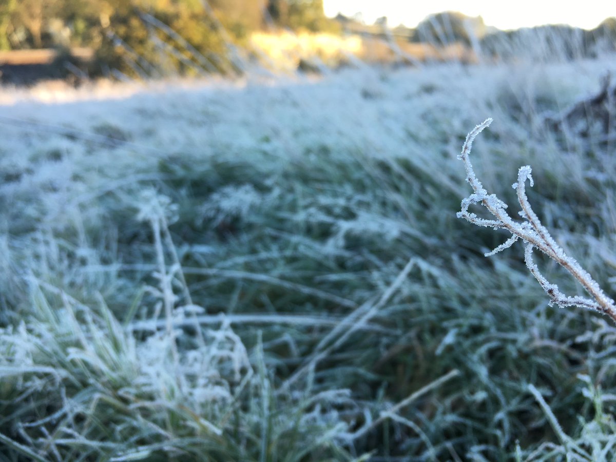 A bit frosty this morning in Plymouth 
Happy Friday! ❄️