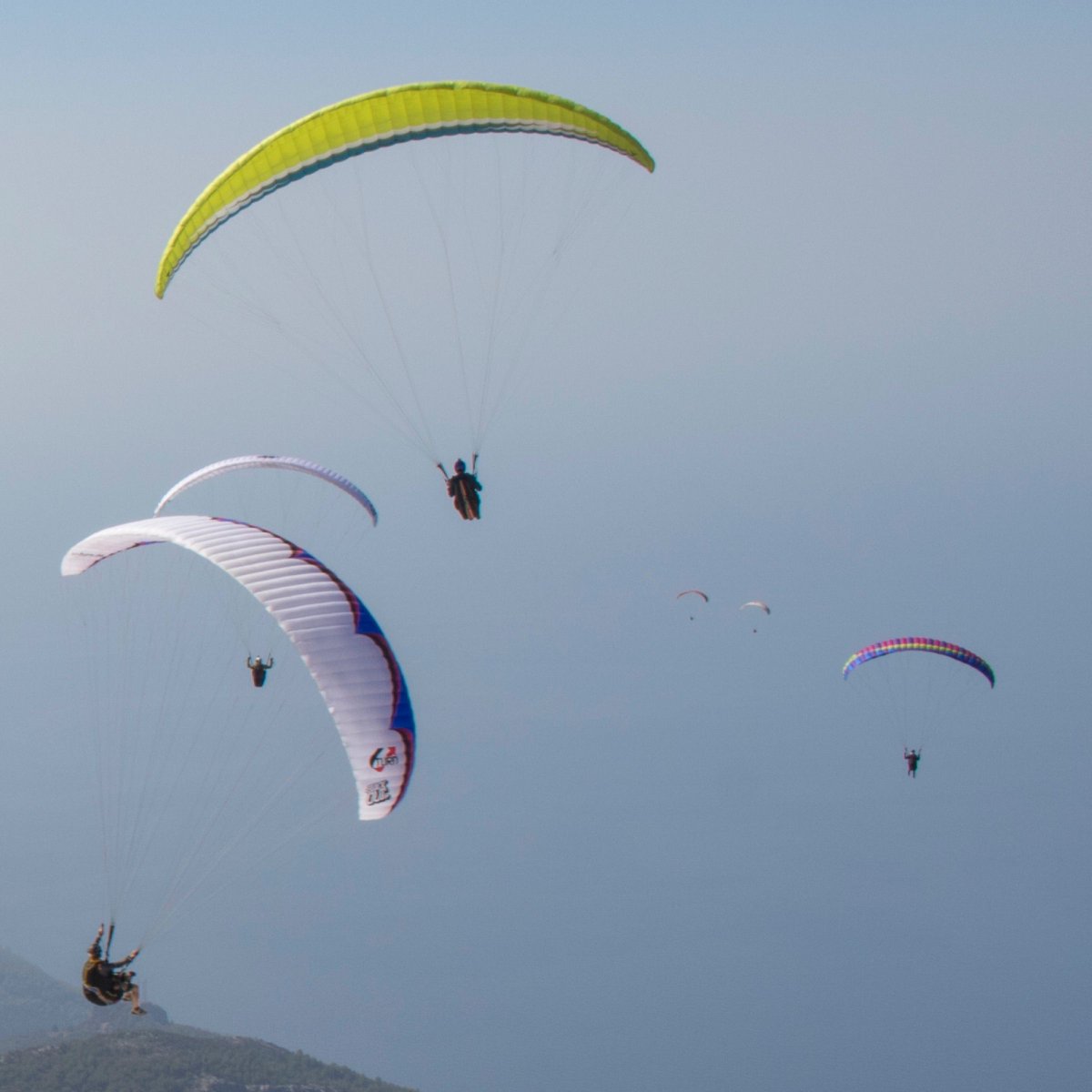 mntnpunk's tweet photo. Getting busy in the skies. #paraglider #paragliderpilot #paragliding #paraglidinglife #paraglidinglove #canonphotography #canon80d #parapente #paragliders #actionsports #extremesports #flying #freeflight #flylikeabird #nature #extremesports #actionsports https://t.co/luriJOMcSu