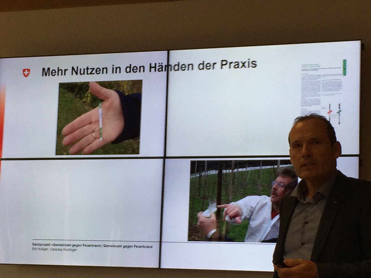 agroscope's tweet image. Das Ziel in der Feuerbrandforschung: Nutzen für die Paxis generieren, sagt Eduard Holliger von #Agroscope