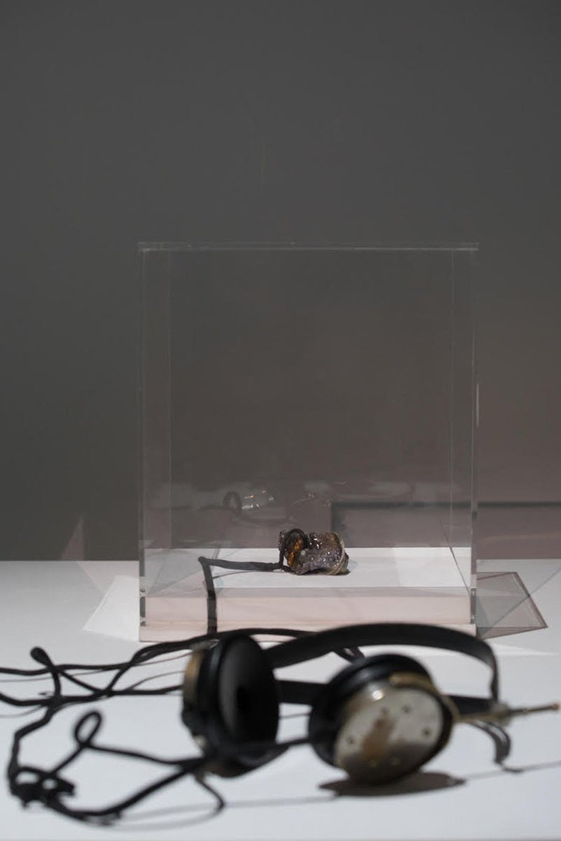 artribune's tweet photo. È Tomás Saraceno, presentato da Pinksummer Genova, il vincitore della seconda edizione di @OgrTorino Award. Il riconoscimento è promosso da @ArtissimaFair in collaborazione con la Fondazione per l’Arte Moderna e Contemporanea @fondartecrt #artissimafair #ograward @tomassaraceno https://t.co/2vsmMrAzwh