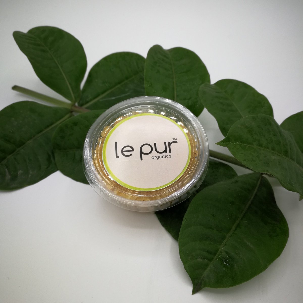 LepurOrganics's tweet photo. Samples #beauty #organic #handmade #pureingredients #greenbeauty #cleanbeauty #gogreen #ecofrienly #nochamical #nohealthrisk #kidsfriendly #karachi #islamabad #handmadesoaps #naturalsoap #soap #cpsoaps #cpsoap #cpsoapmaking #cpsoapmaker #toysoap https://t.co/HOSziYm8Fo