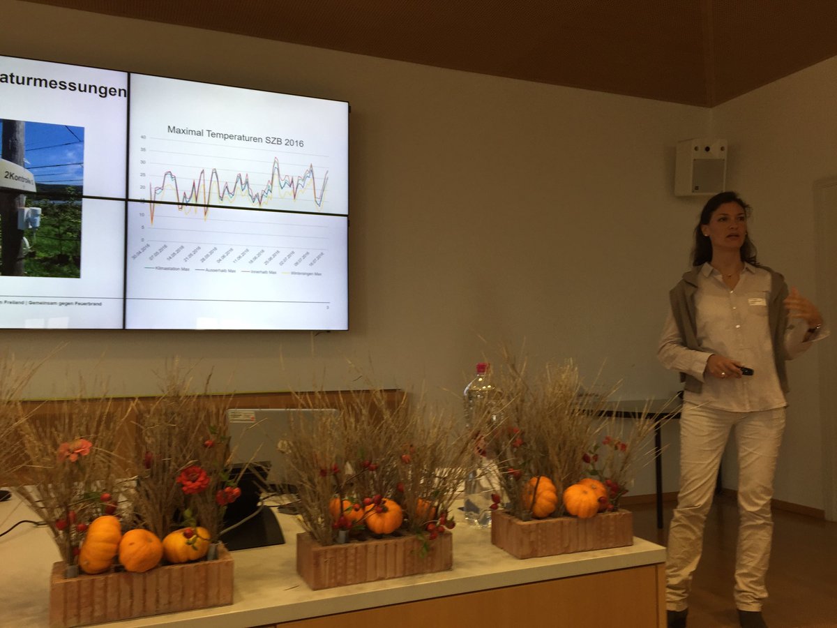 agroscope's tweet image. Bei Feuerbrand unbedingt auch die Umgebung einbeziehen und bei Bedarf sanieren, empfiehlt Vanessa Reiniger von #Agroscope. Rechtzeitige Behandlungen und enge Intervalle ergeben die besten Ergebnisse.